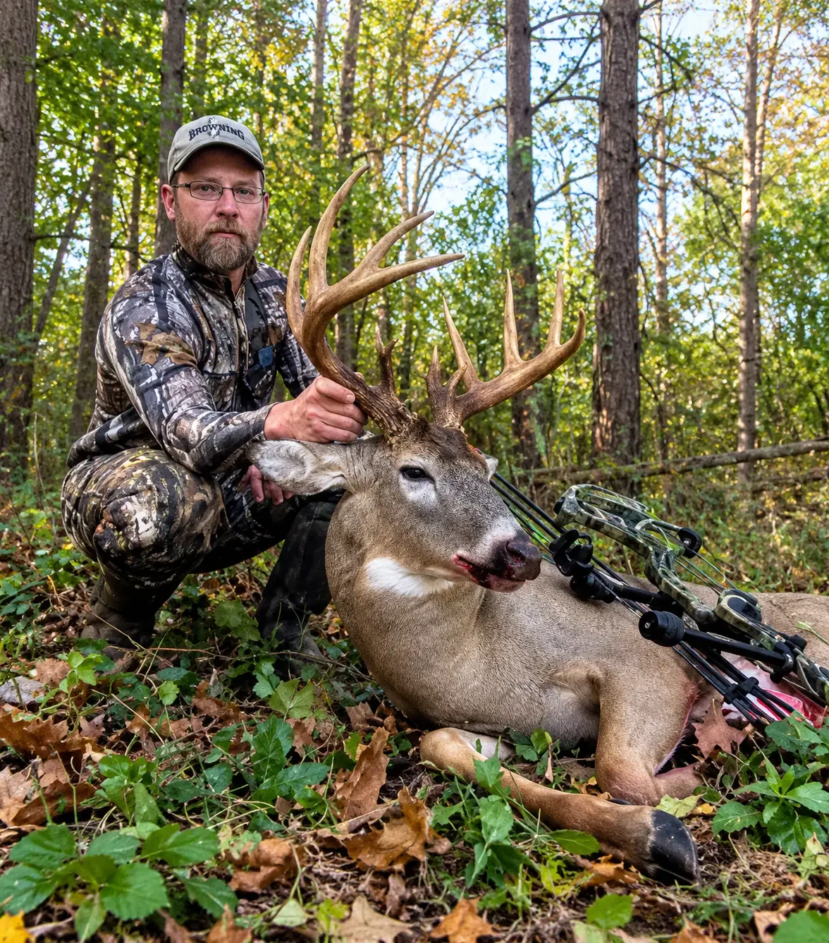 What Should You Know About Deer Property Management?